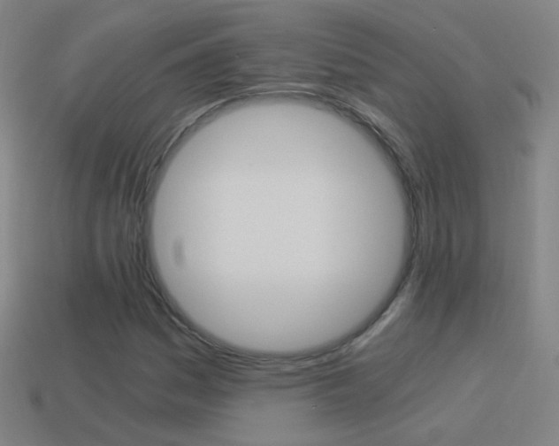 X0000114521161200910190944