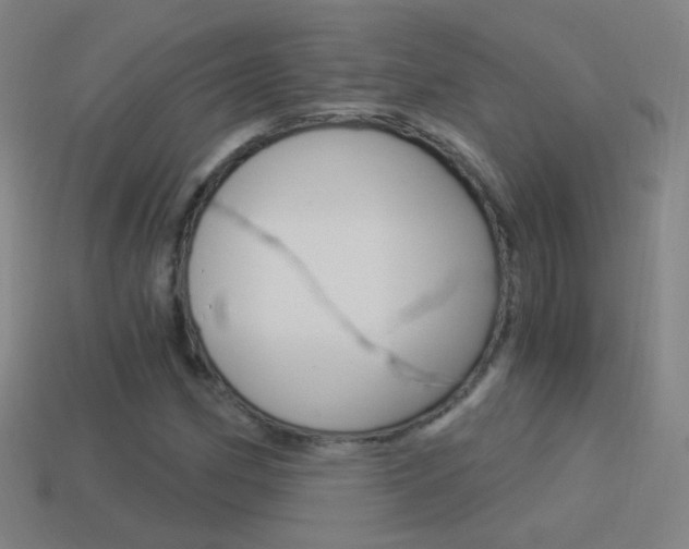 X0000114521162200910190944