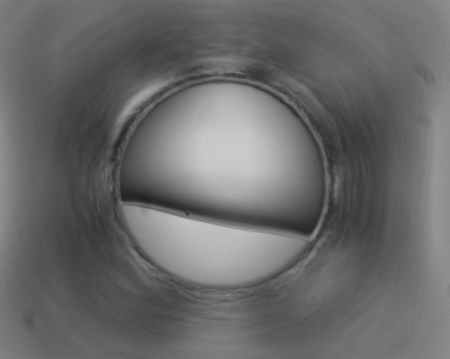 X0000114521164200910190944