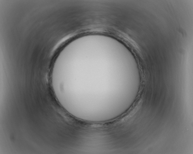 X0000114521166200910190944