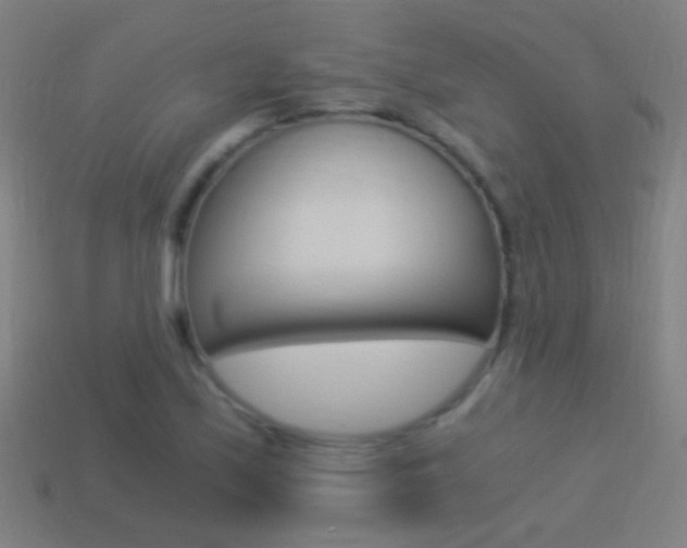 X0000114521171200910190944