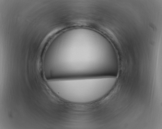 X0000114521172200910190944