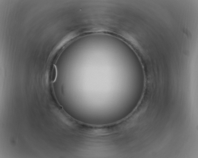 X0000114521173200910190944