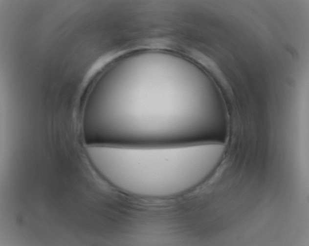 X0000114521176200910190943