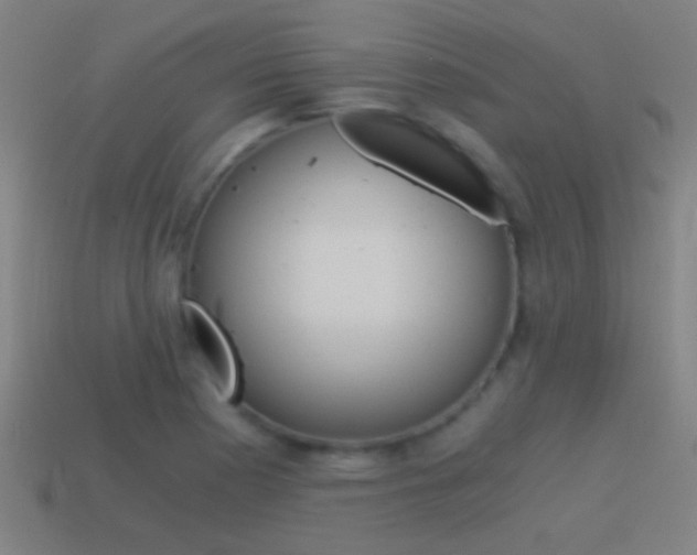 X0000114521177200910190943
