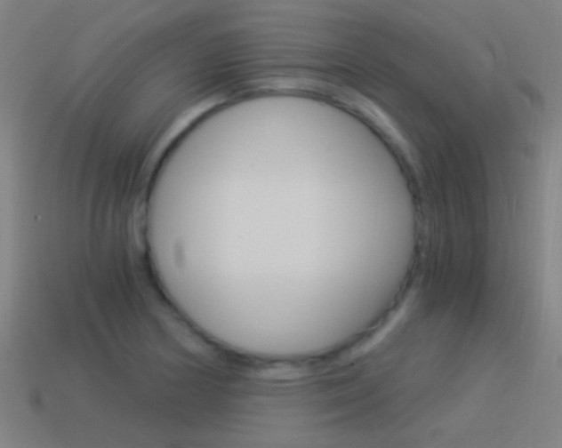 X0000114521178200910190943