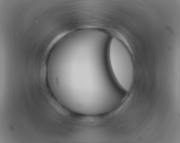X0000114521179200910190943