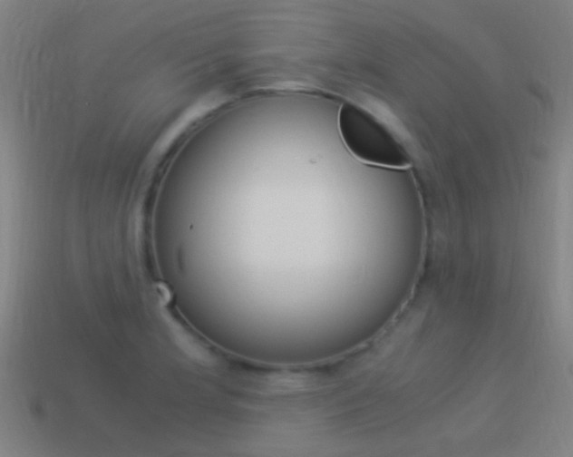X0000114521181200910190943