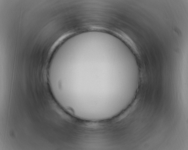 X0000114521182200910190943