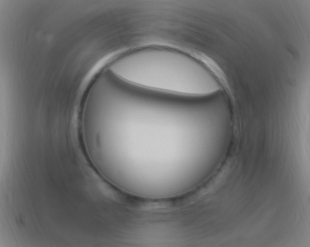 X0000114521183200910190943