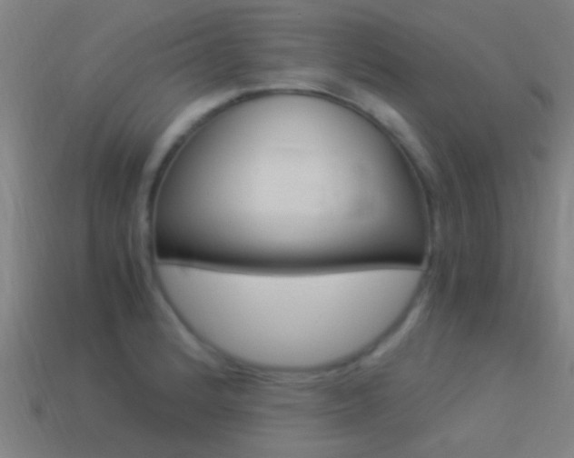 X0000114521184200910190943