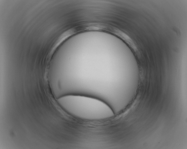 X0000114521186200910190943