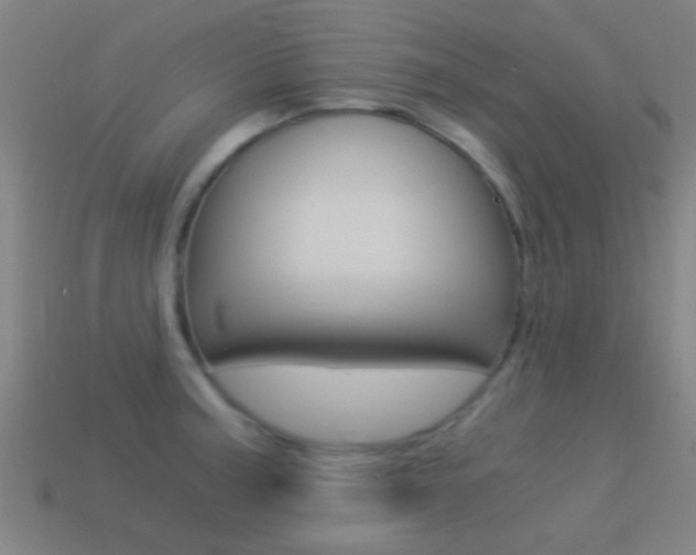 X0000114521187200910190943