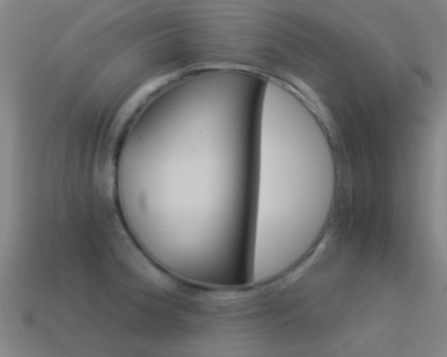 X0000114521188200910190943