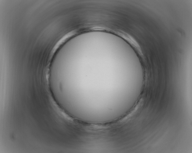X0000114521190200910190943