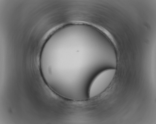 X0000114521191200910190943