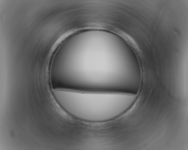 X0000114521192200910190943