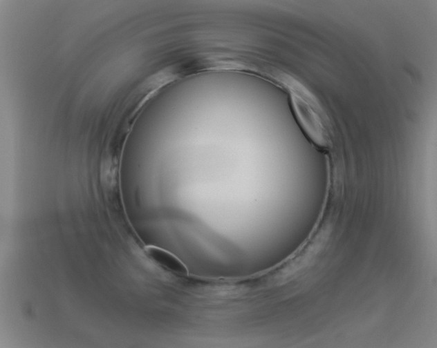 X0000114521193200910190943