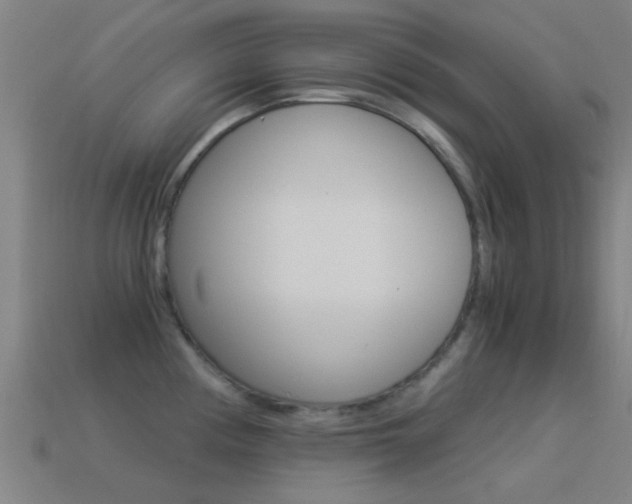 X0000114521194200910190943