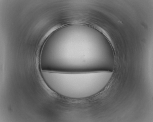 X0000114521195200910190943