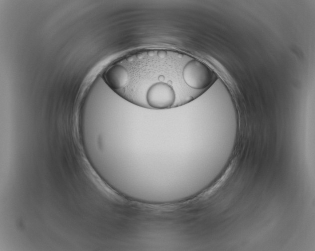 X0000114521196200910190943