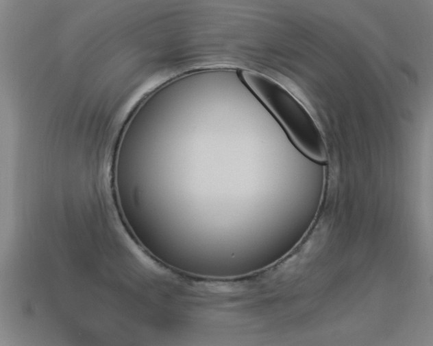 X0000114521197200910190943