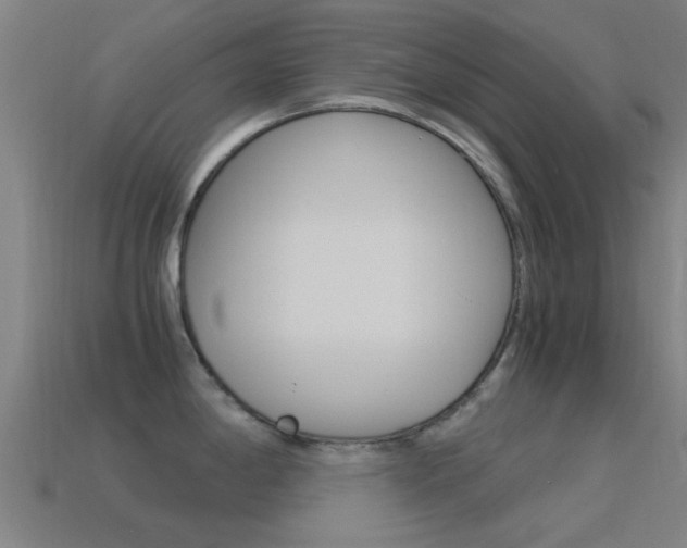 X0000114521198200910190943