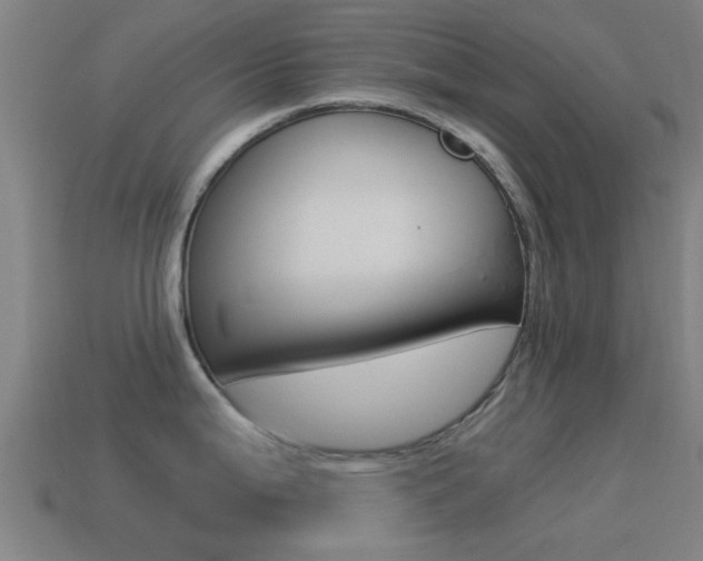 X0000114521199200910190943