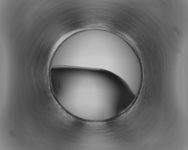 X0000114521200200910190943
