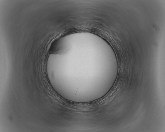 X0000114521201200910190942