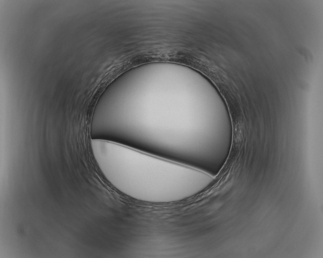 X0000114521202200910190942