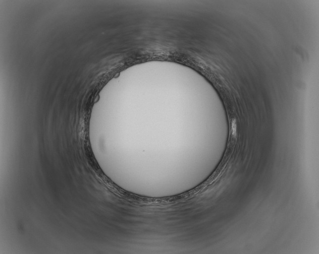 X0000114521203200910190942