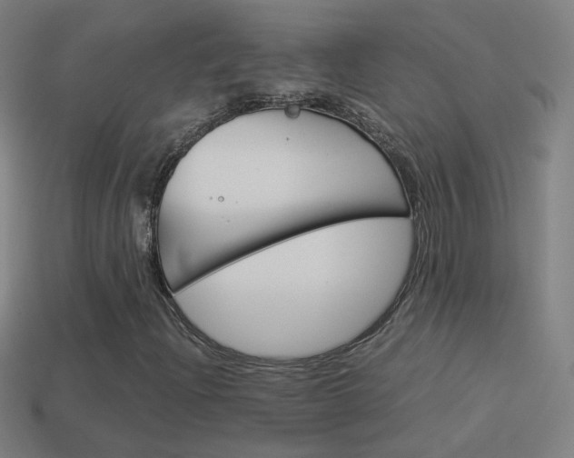 X0000114521204200910190942