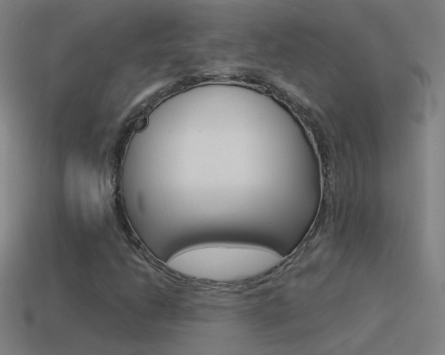 X0000114521206200910190942