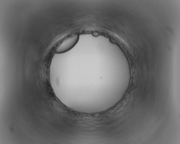X0000114521207200910190942