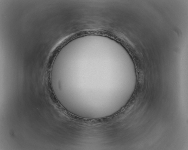 X0000114521208200910190942