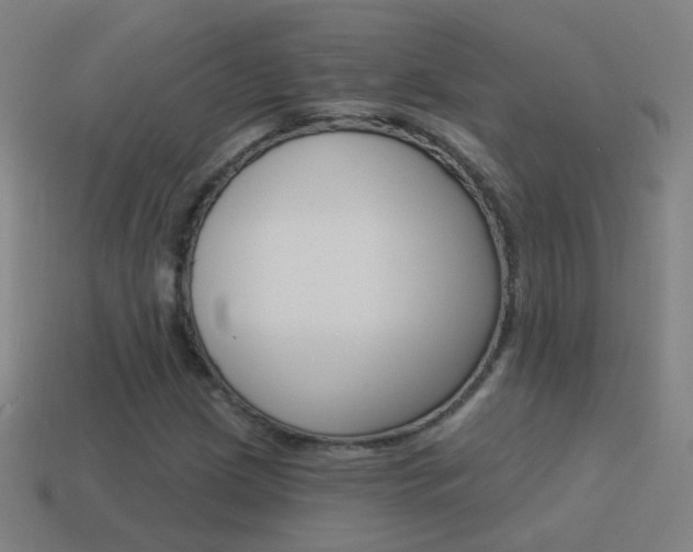 X0000114521209200910190942