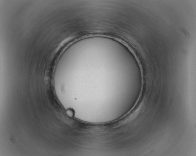 X0000114521210200910190942