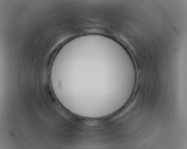 X0000114521211200910190942