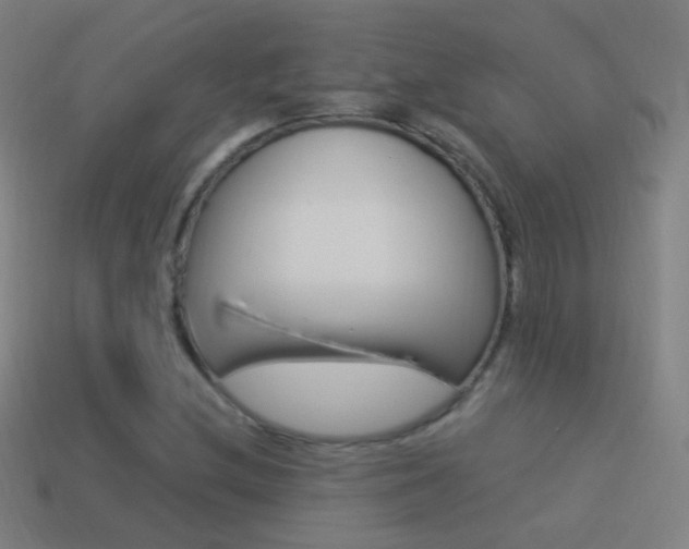 X0000114521212200910190942