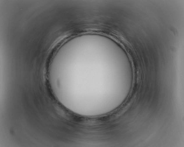 X0000114521213200910190942