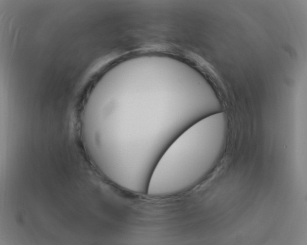 X0000114521215200910190942