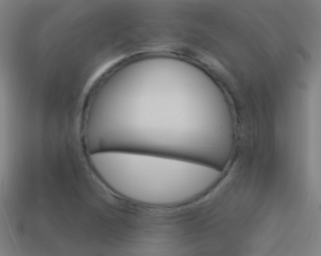 X0000114521216200910190942