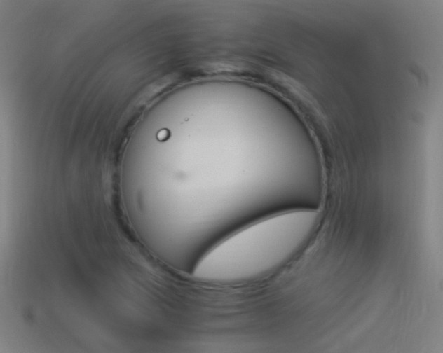 X0000114521217200910190942