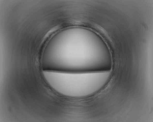 X0000114521218200910190942