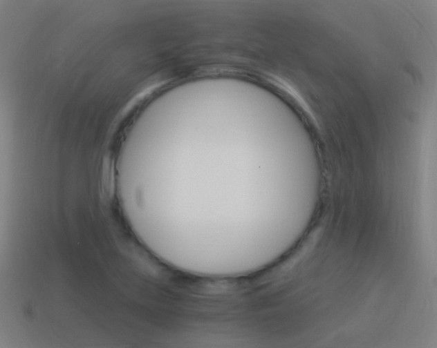 X0000114521219200910190942