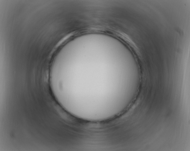 X0000114521220200910190942