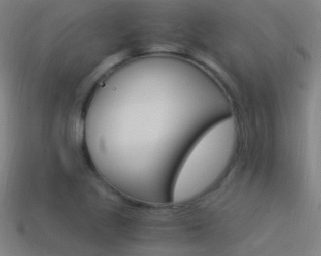 X0000114521221200910190942