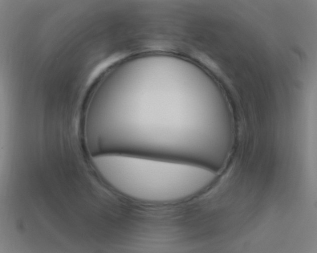 X0000114521222200910190943