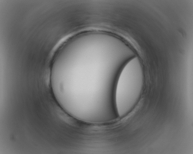 X0000114521224200910190943